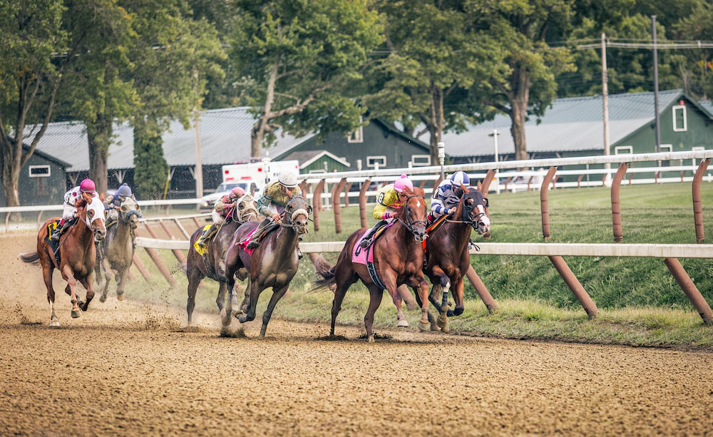 using sports handicappers to bet on horses